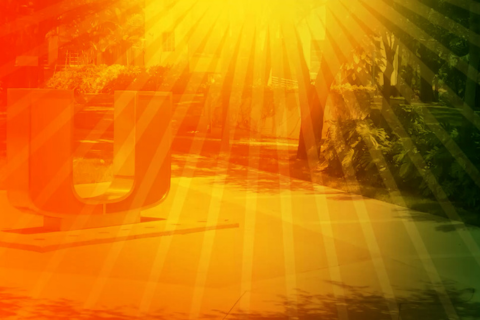 university of miami division of continuing and international education news and events